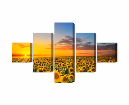 Canvastavla - Sunset over a 3d sunflower field