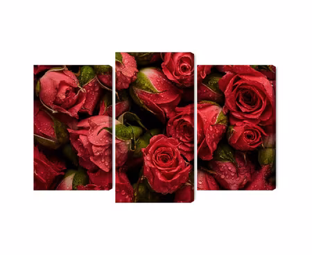 Canvastavla - Roses with water drops