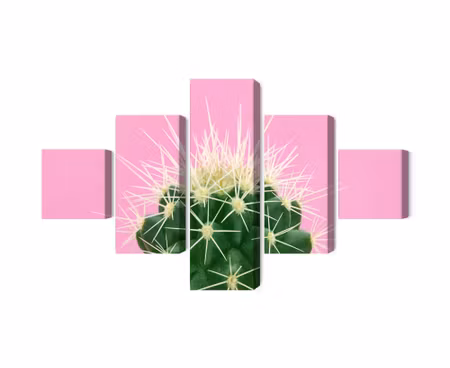 Canvastavla - Cactus on a pink background