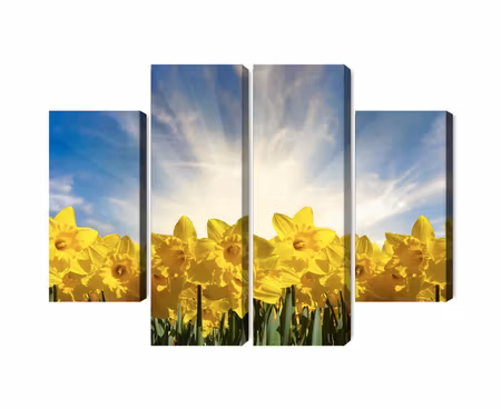 Canvastavla - 3d daffodils field