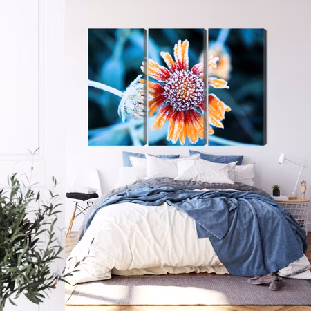 Canvastavla - Rudbeckia flowers covered with frost