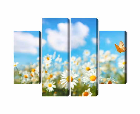 Canvastavla - 3d daisy field