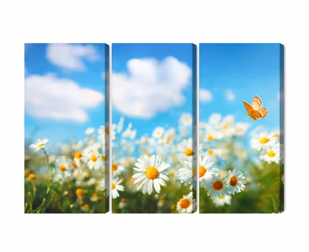 Canvastavla - 3d daisy field