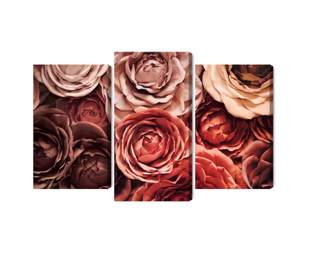 Canvastavla - Colorful flowers close up 3d