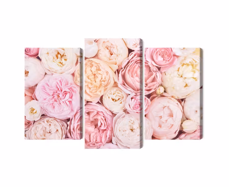 Canvastavla - Blooming flowers in pastel colors