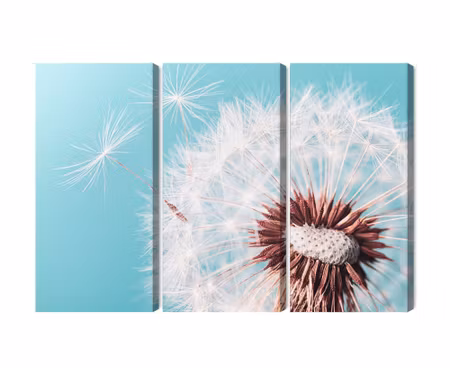 Canvastavla - Dandelion flower on a macro scale
