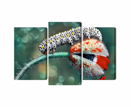 Canvastavla - A caterpillar and a ladybug on a macro