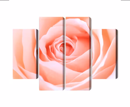 Canvastavla - Pastel rose on a 3d macro scale