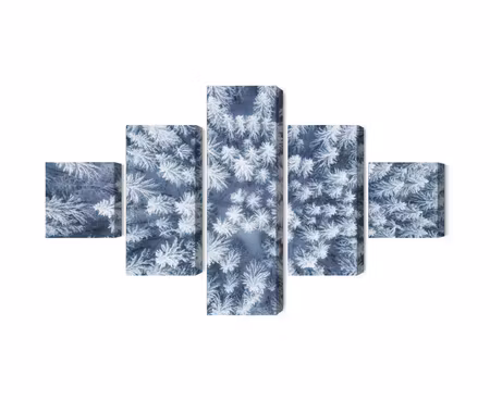 Canvastavla - Aerial view of the winter forest