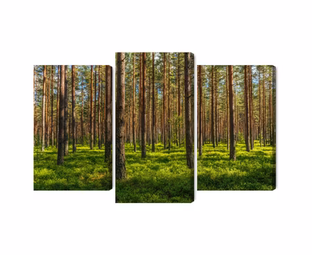 Canvastavla - 3d pine forest