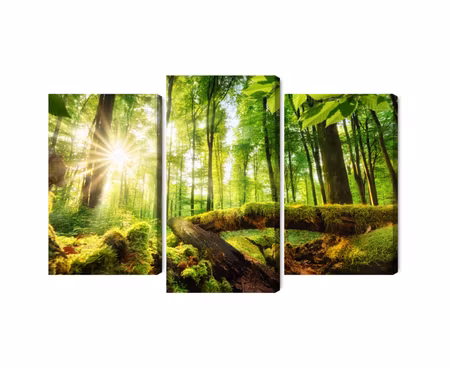 Canvastavla - Rays of the sun in the 3d forest