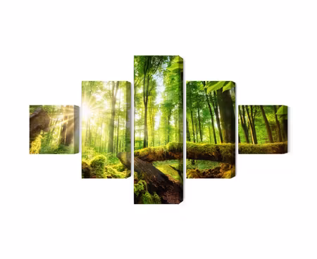 Canvastavla - Rays of the sun in the 3d forest