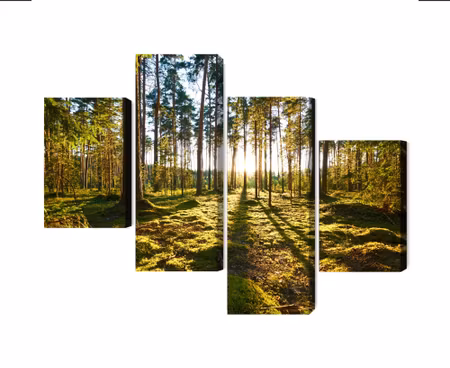 Canvastavla - Forest landscape with sunset