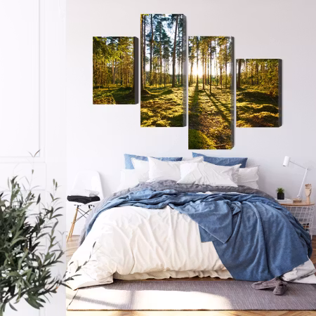 Canvastavla - Forest landscape with sunset