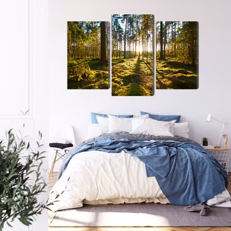 Canvastavla - Forest landscape with sunset