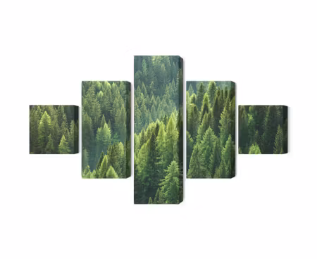 Canvastavla - The green of the forest