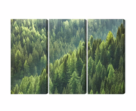 Canvastavla - The green of the forest