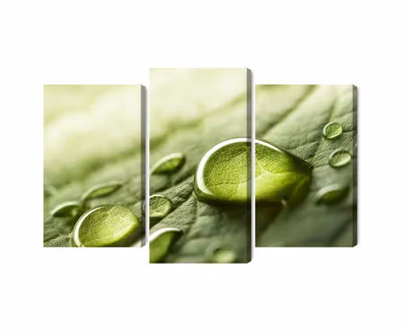 Canvastavla - Water drops on a leaf on a macro scale