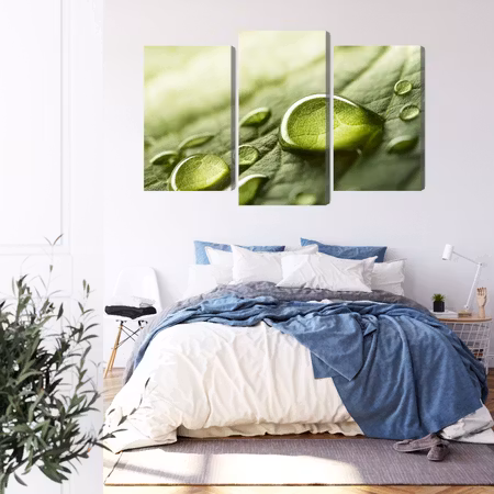 Canvastavla - Water drops on a leaf on a macro scale