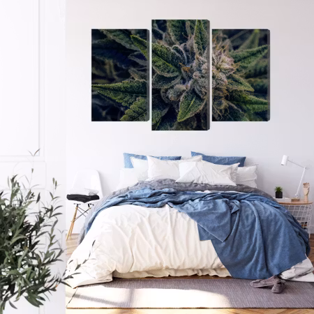 Canvastavla - Cannabis plant close up