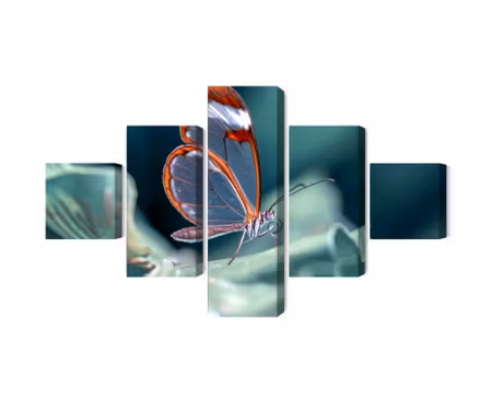 Canvastavla - Glass-winged butterfly close up