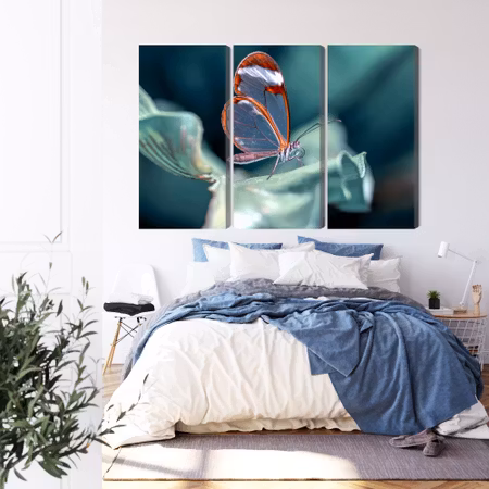 Canvastavla - Glass-winged butterfly close up