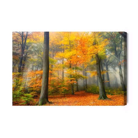 Canvastavla - Misty autumn forest