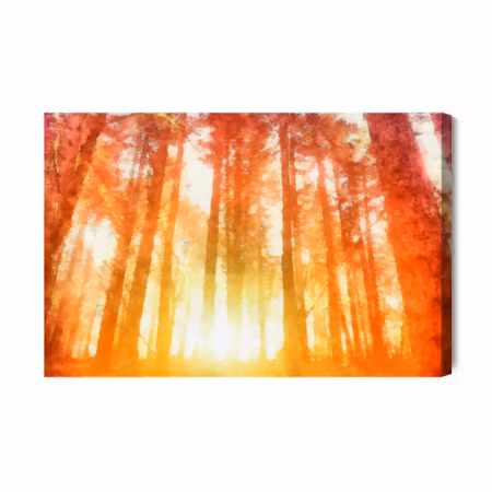 Canvastavla - Dawn in a beautiful forest