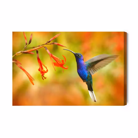 Canvastavla - Hummingbird bird and flowers