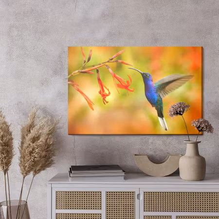 Canvastavla - Hummingbird bird and flowers