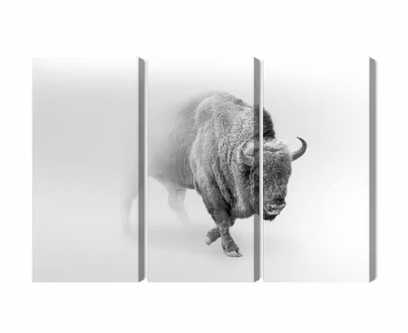 Canvastavla - Bison in the fog 3d