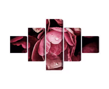 Canvastavla - Peony flowers close up 3d