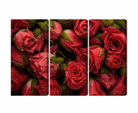 Canvastavla - Roses with water drops