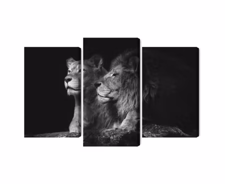 Canvastavla - Lion and lioness on a black background