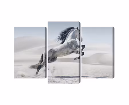 Canvastavla - Horse in the desert 3d