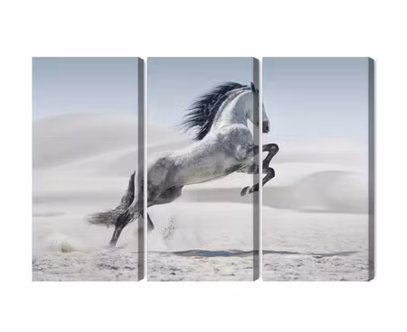 Canvastavla - Horse in the desert 3d