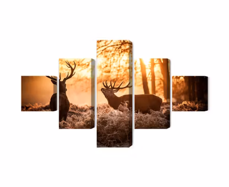 Canvastavla - Two deer in the forest at sunset 3d