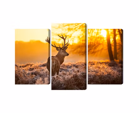 Canvastavla - Deer in the forest at sunset 3d