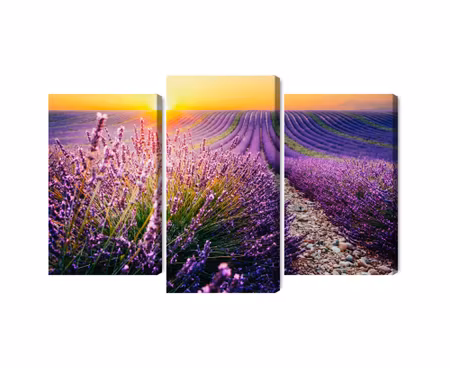 Canvastavla - Lavender field at sunset 3d