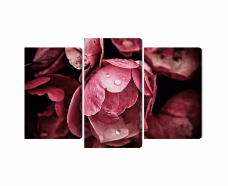 Canvastavla - Peony flowers close up 3d