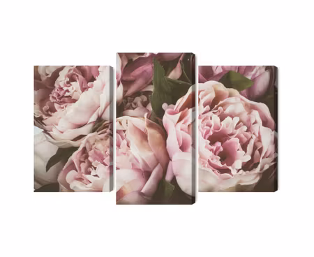 Canvastavla - Delicate vintage peony flowers