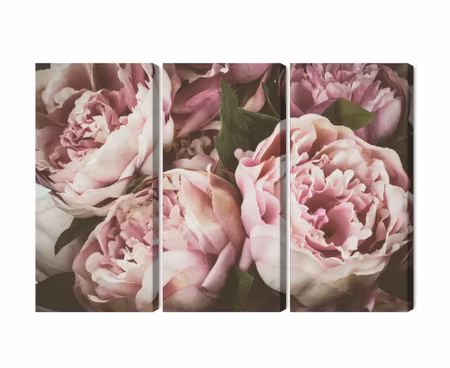 Canvastavla - Delicate vintage peony flowers