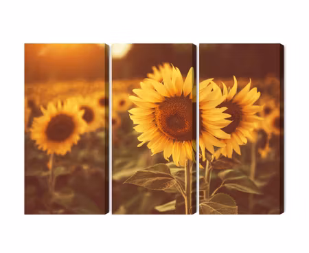 Canvastavla - A field of sunflowers in a retro 3d style
