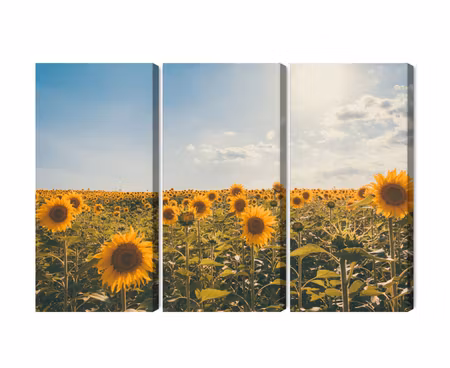 Canvastavla - Sunflower field on a summer day 3d