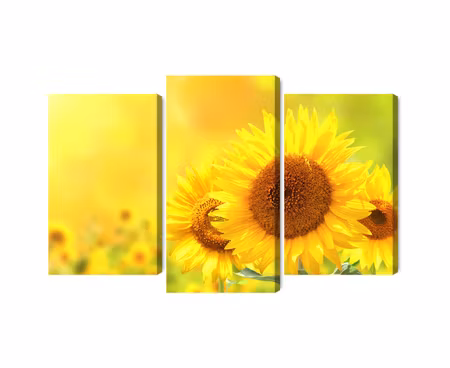 Canvastavla - Blooming sunflowers 3d