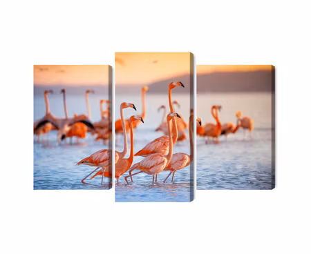 Canvastavla - A flock of flamingos by the water