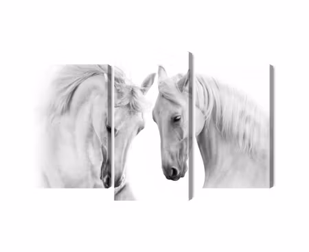 Canvastavla - Two horses on a white background