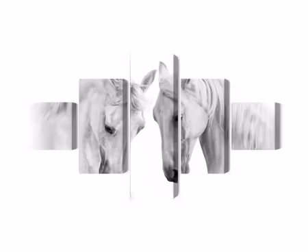 Canvastavla - Two horses on a white background