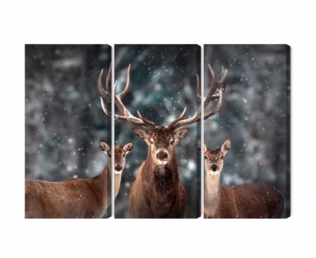 Canvastavla - A deer and two does in the forest