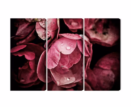 Canvastavla - Peony flowers close up 3d
